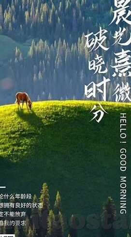 成人免费网站免费视频-与网络伦理，免费视频网站的灰色地带